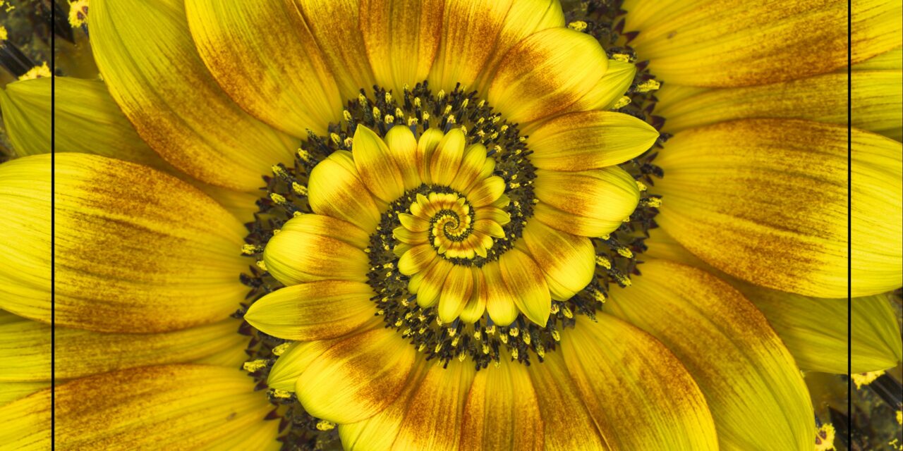 Discover what’s inside ~ Finding Center ~