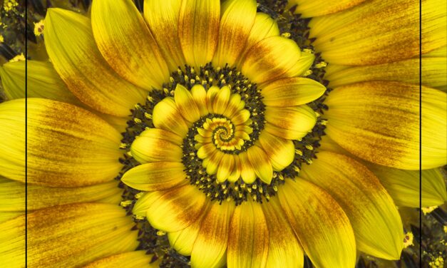 Discover what’s inside ~ Finding Center ~