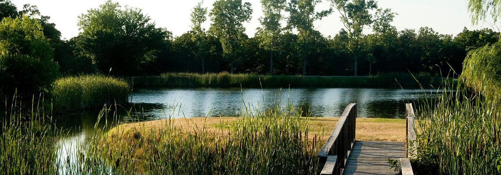 Post Oak Lodge property and pond for Finding Center Retreats Post Oak Lodge property and pond for Finding Center Retreats