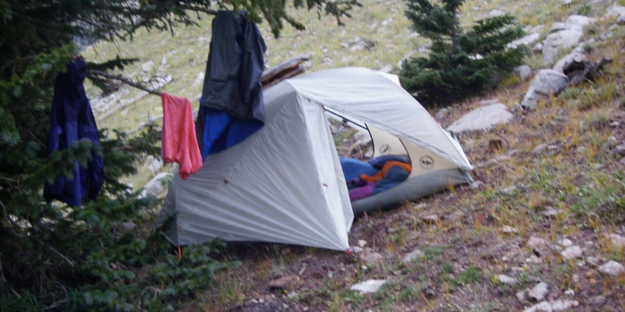Tent beneath evergreen trees at a high alpine mountain campsite