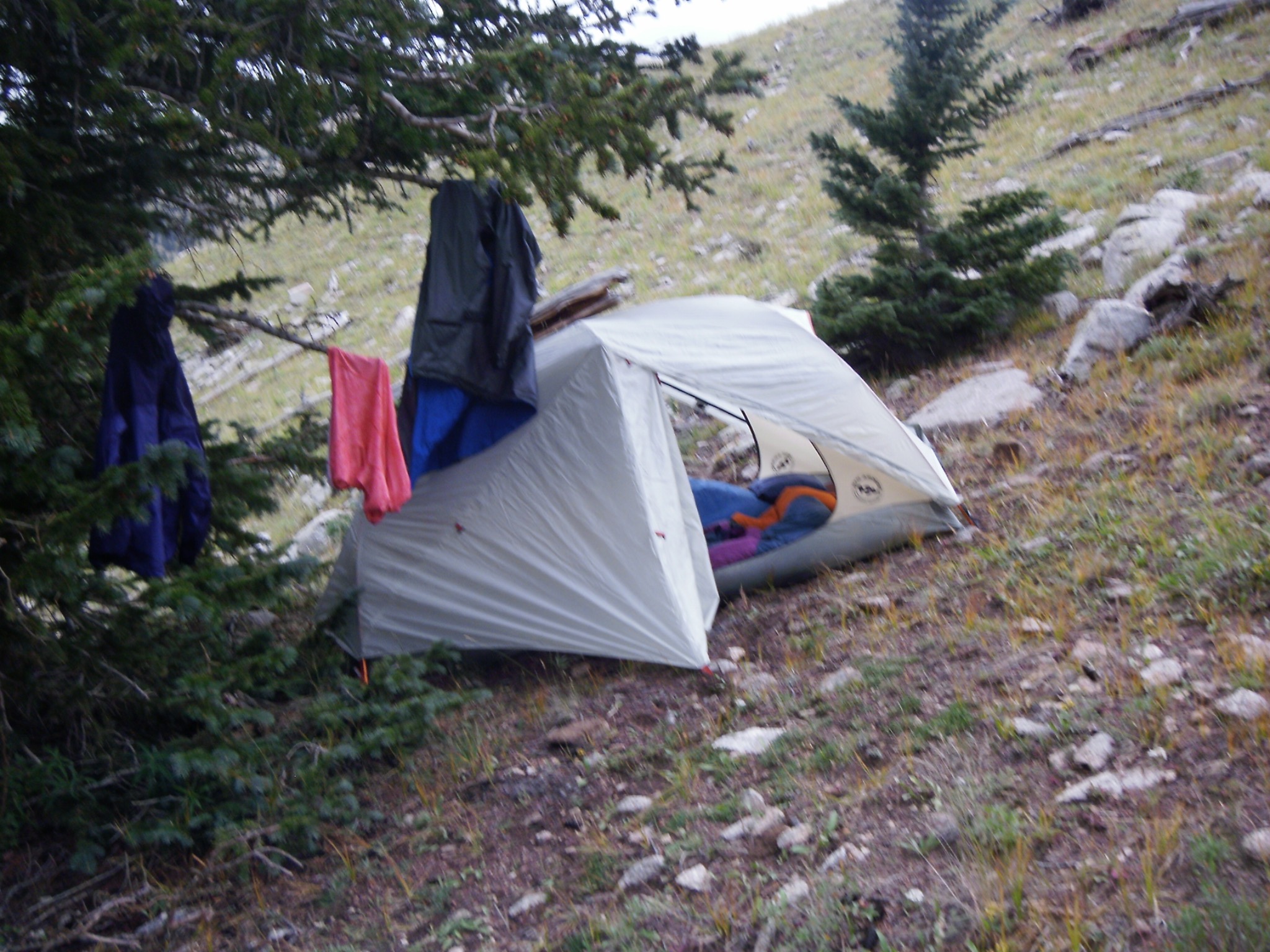 Backpacking tent beneath evergreen trees at a high alpine mountain campsite